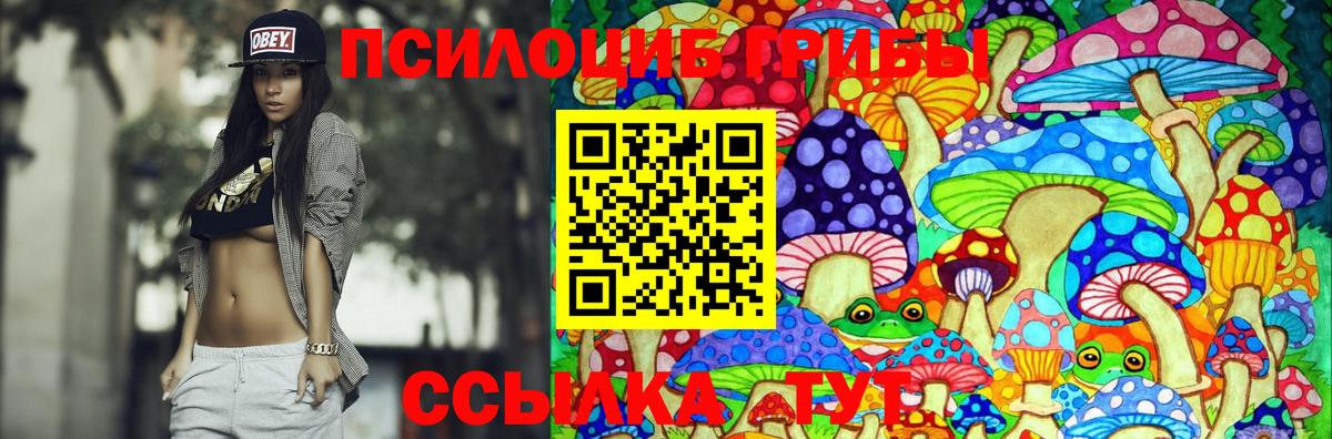 что такое   Вход с VPN  Кашира  Псилоцибиновые грибы GOLDEN TEACHER 